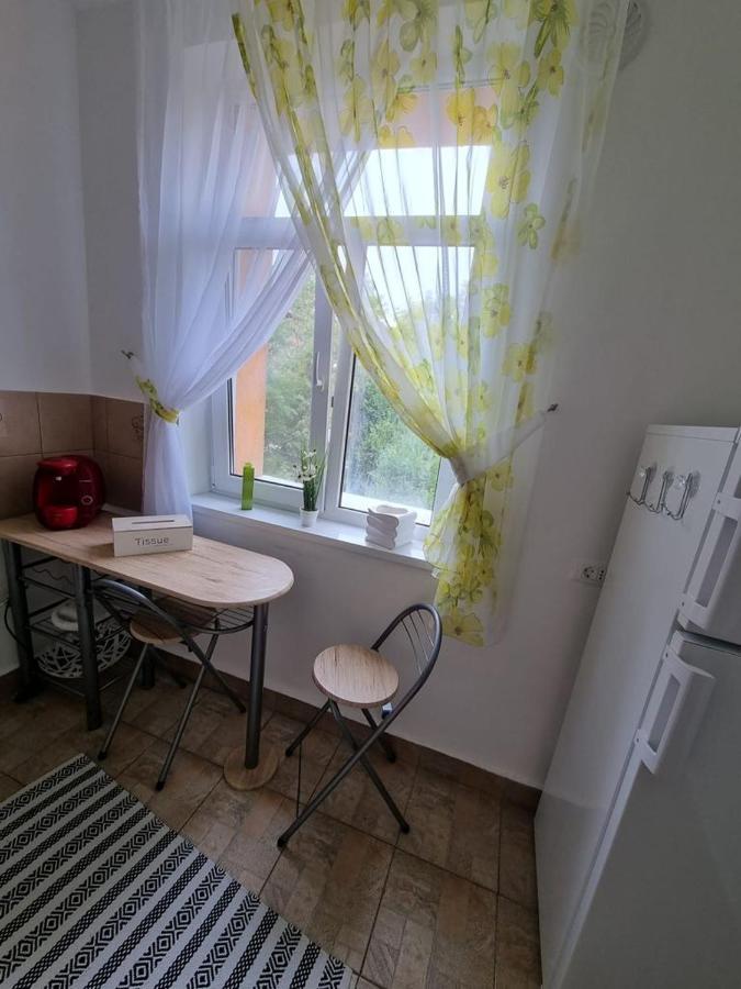 Sunrise Apartment Petroşani מראה חיצוני תמונה